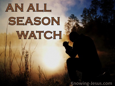 An All-Season Watch